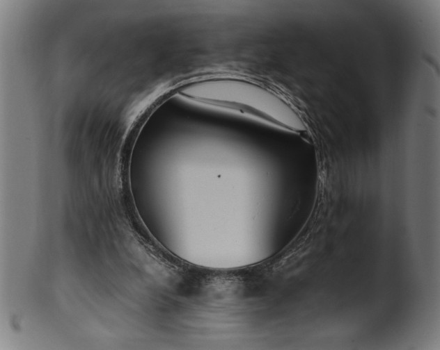 X0000099930248200806061501