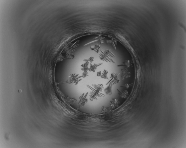 X0000099930249200806061501