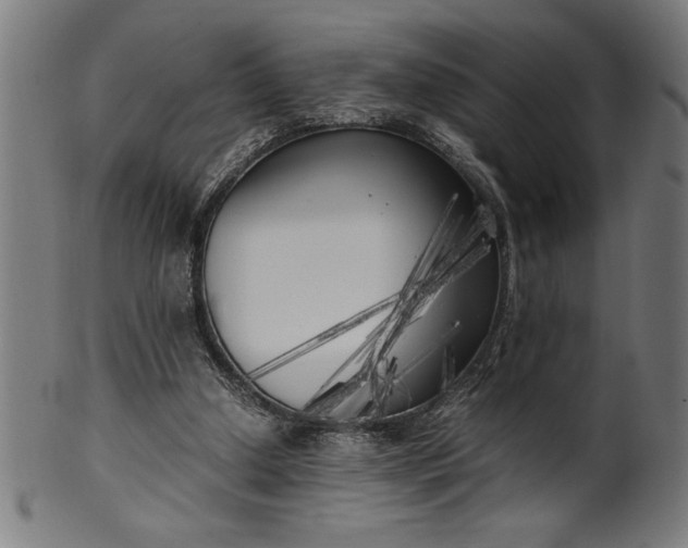 X0000099930250200806061501