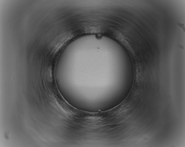 X0000099930251200806061501