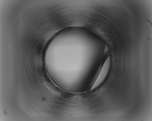 X0000099930252200806061501