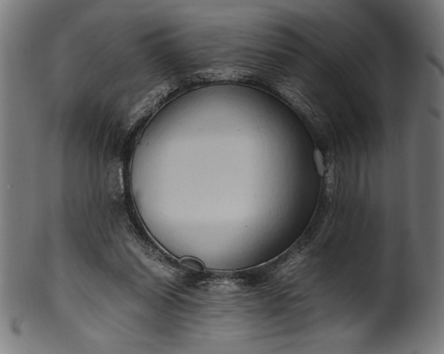 X0000099930254200806061501