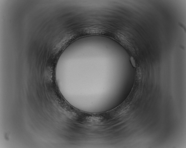 X0000099930255200806061501