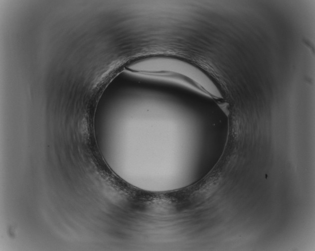 X0000099930256200806061501