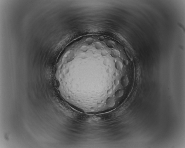 X0000099930257200806061501