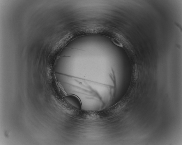 X0000099930258200806061501