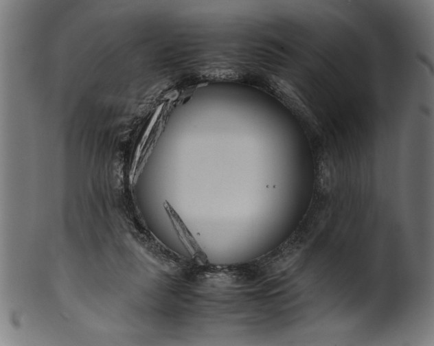 X0000099930259200806061501