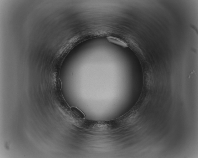 X0000099930260200806061501