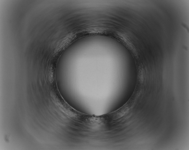 X0000099930261200806061501