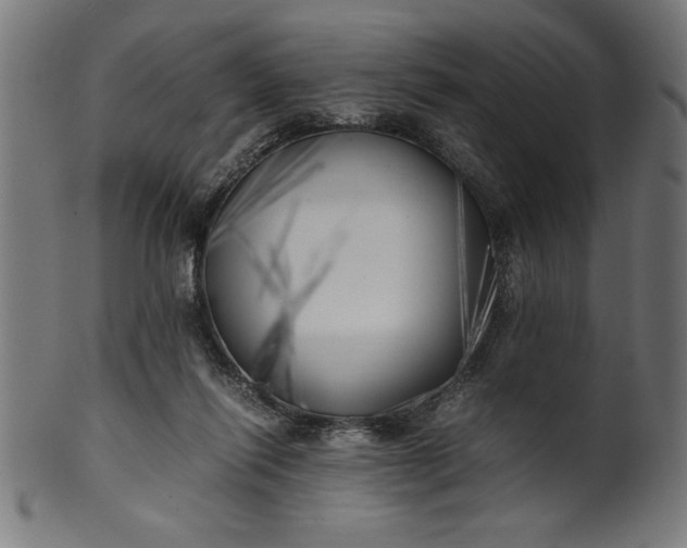 X0000099930262200806061501