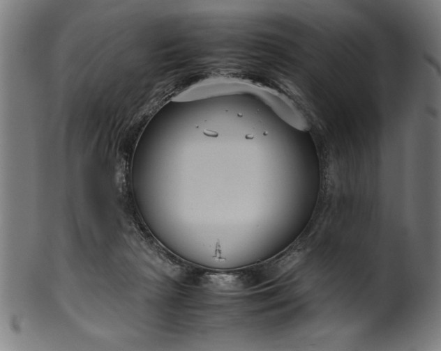 X0000099930265200806061501