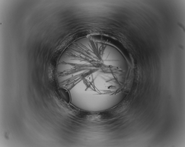 X0000099930266200806061501