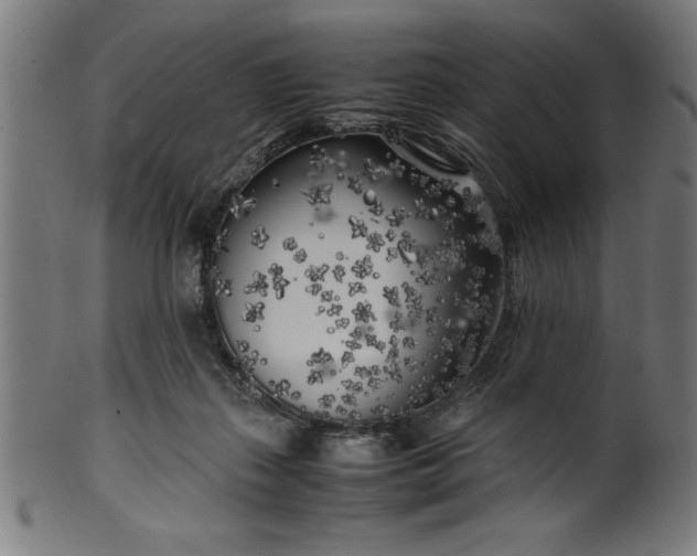 X0000099930267200806061501