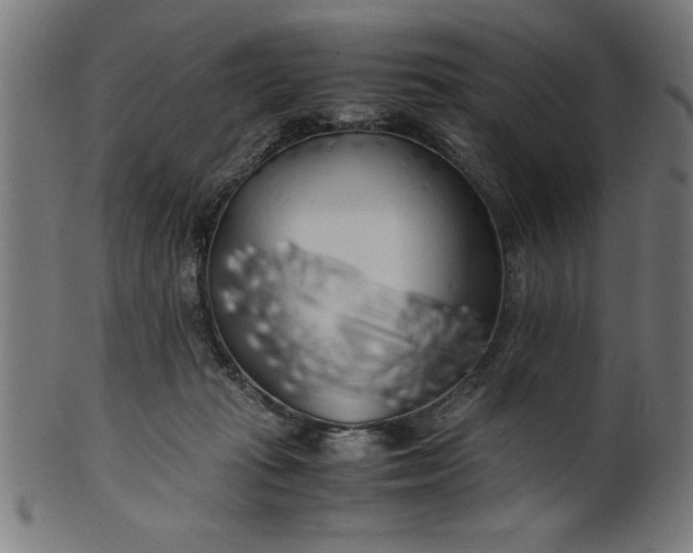 X0000099930269200806061501