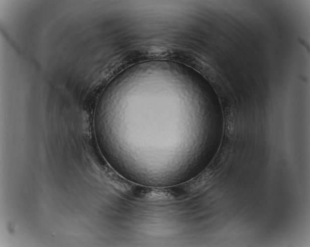 X0000099930270200806061501