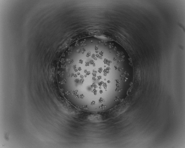 X0000099930271200806061501