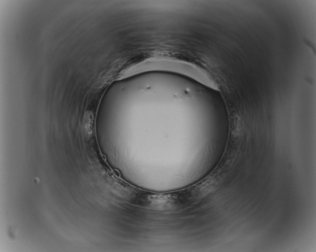 X0000099930273200806061501