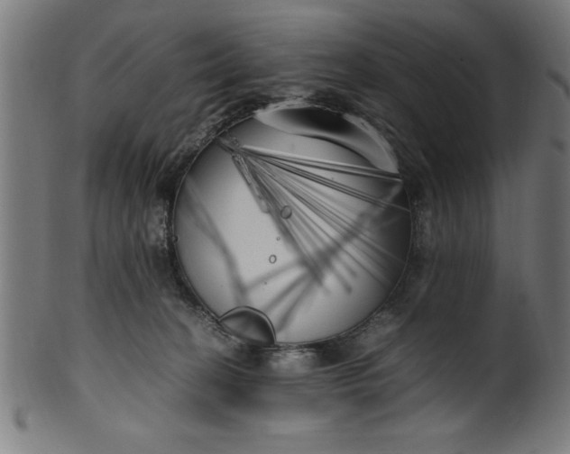 X0000099930274200806061501