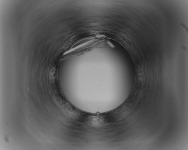 X0000099930275200806061501