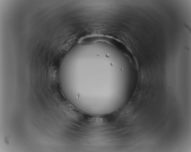 X0000099930276200806061501