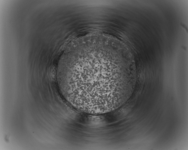 X0000099930277200806061501