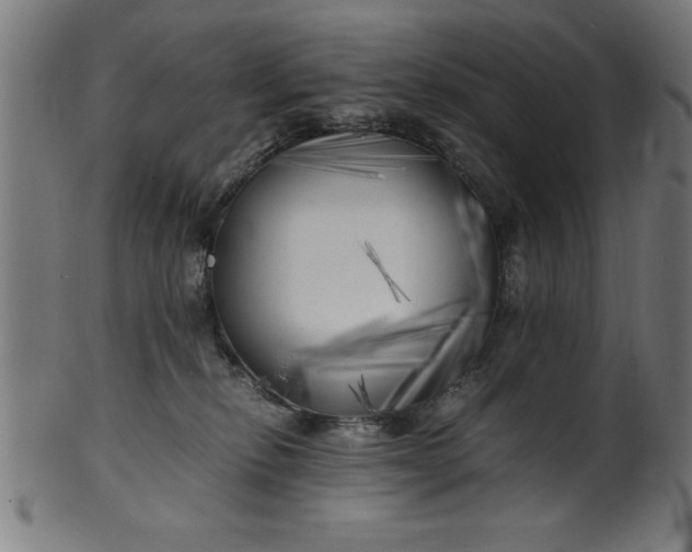 X0000099930278200806061501