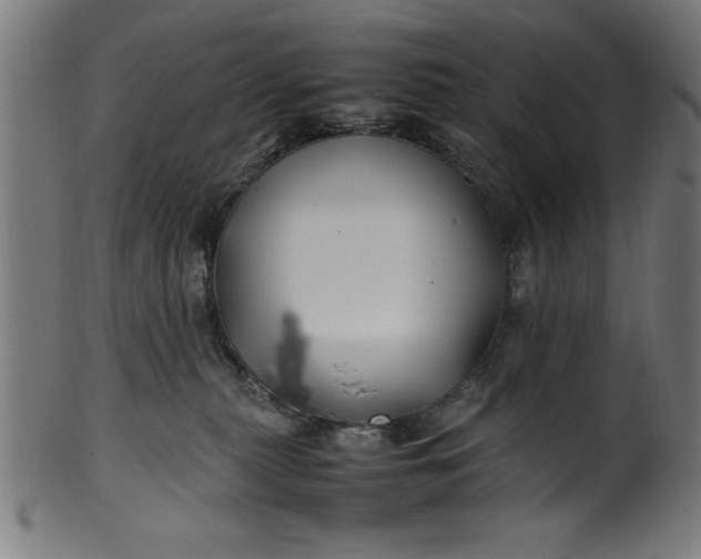 X0000099930279200806061501