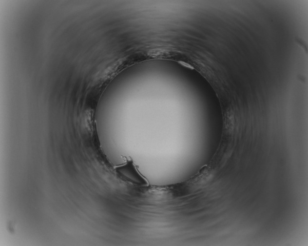 X0000099930280200806061501