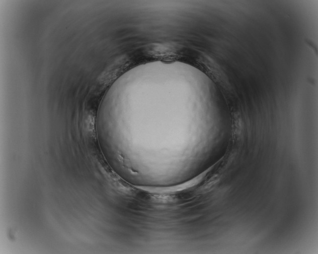 X0000099930281200806061501