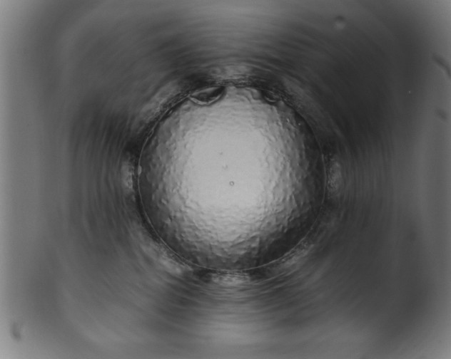 X0000099930282200806061501