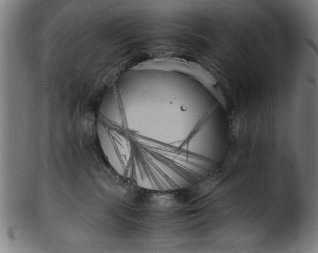 X0000099930283200806061501