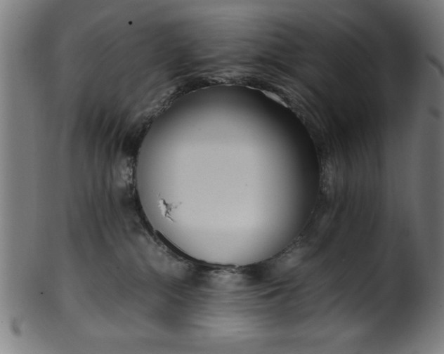 X0000099930284200806061501