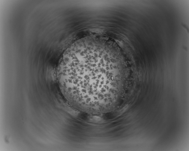 X0000099930285200806061501