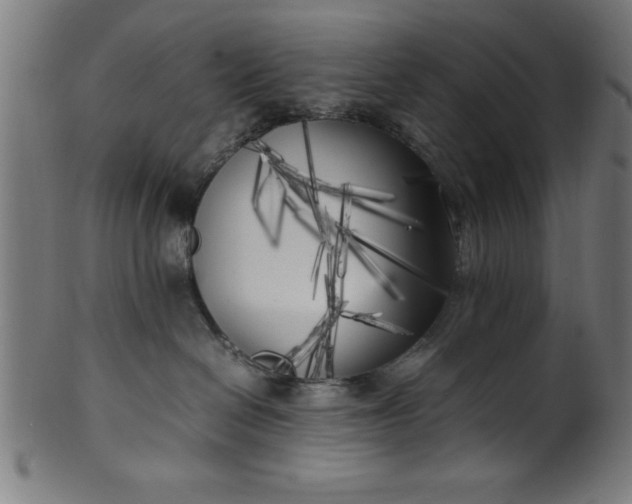 X0000099930286200806061501