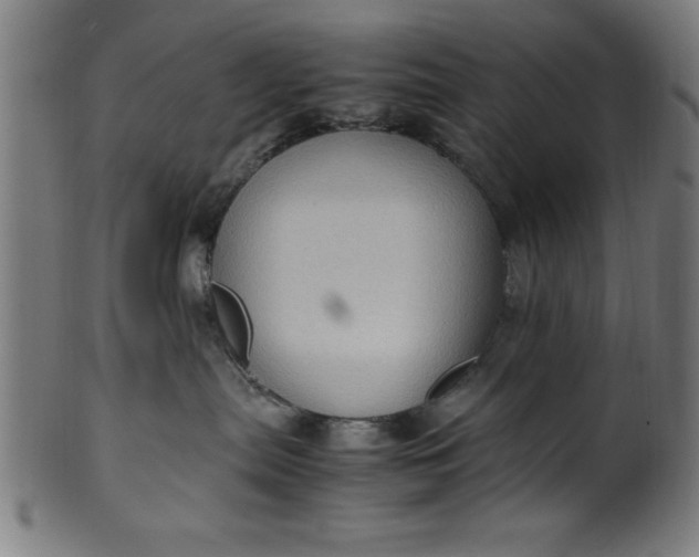 X0000099930287200806061501