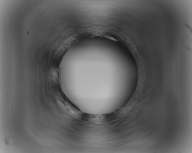 X0000099930288200806061501