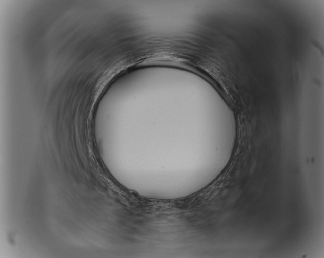 X0000099930289200806061500