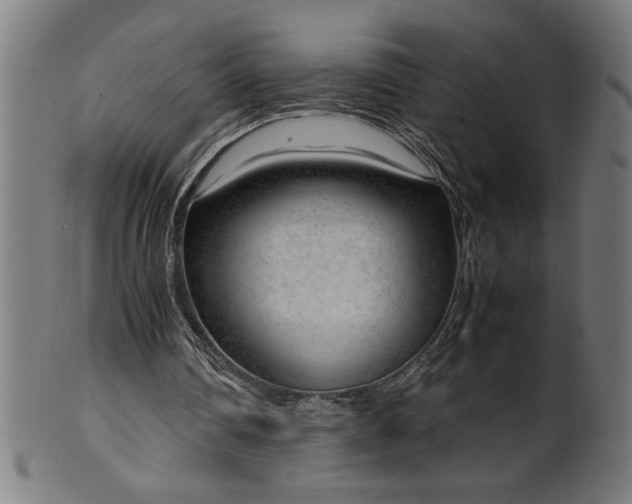 X0000099930290200806061500