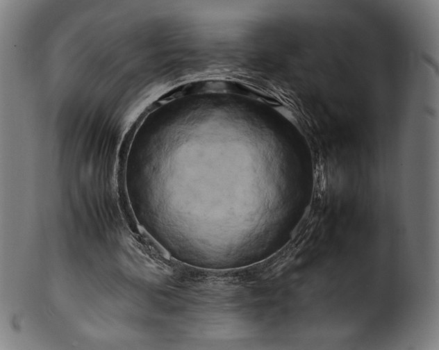 X0000099930292200806061500