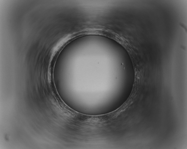 X0000099930294200806061500