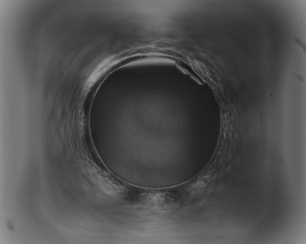 X0000099930295200806061500