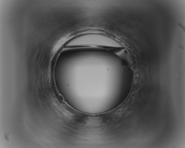 X0000099930296200806061500