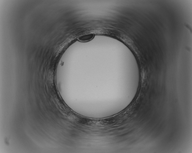 X0000099930297200806061500