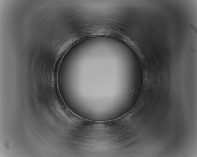 X0000099930298200806061500