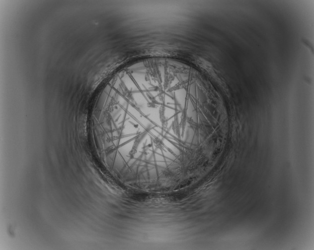 X0000099930299200806061500