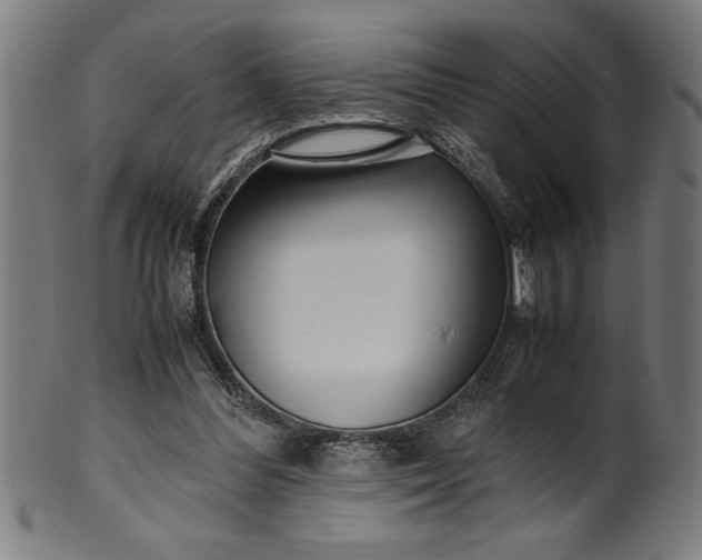 X0000099930300200806061500