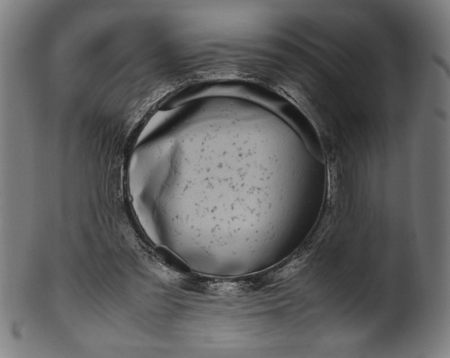 X0000099930301200806061500