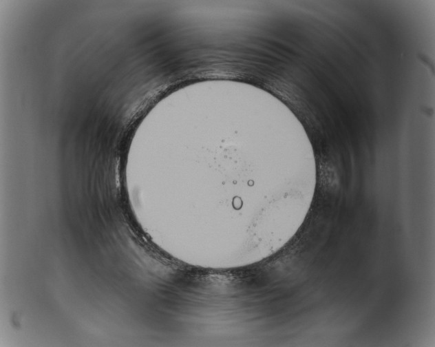 X0000099930302200806061500