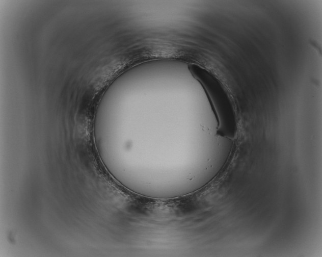 X0000099930305200806061500