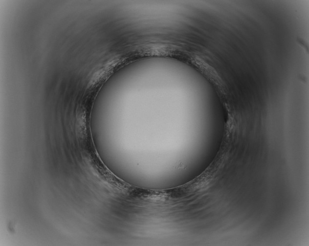 X0000099930306200806061500